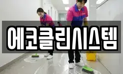 에코클린시스템