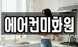 에어컨미화원