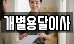 개별용달이사