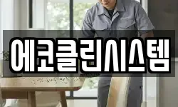 에코클린시스템