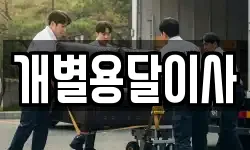 개별용달이사