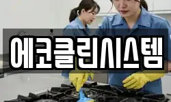 에코클린시스템