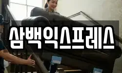 삼백익스프레스