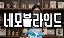 네모블라인드