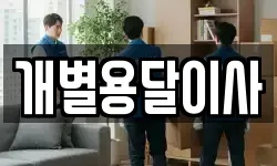 개별용달이사
