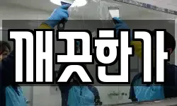 깨끗한가