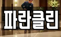 파란클린