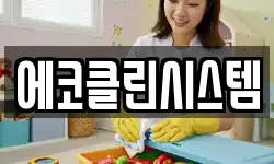 에코클린시스템