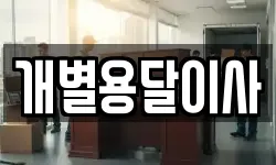 개별용달이사