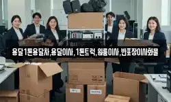 경북 성주군 금수강산면 이사,용달이사,포장이사,원룸이사,보관이사