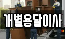 개별용달이사