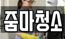 줌마청소