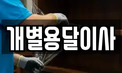 개별용달이사