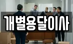 개별용달이사