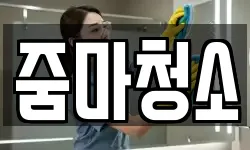 줌마청소