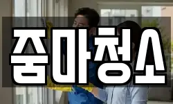 줌마청소
