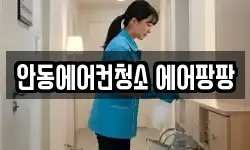 안동에어컨청소 에어팡팡