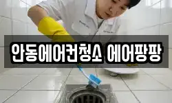 안동에어컨청소 에어팡팡