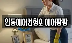 안동에어컨청소 에어팡팡