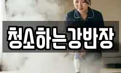 청소하는강반장