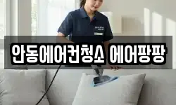 안동에어컨청소 에어팡팡