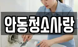 안동청소사랑