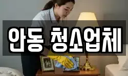 경북 안동시 남선면 청소,입주청소,사무실청소,에어컨청소
