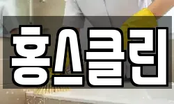 홍스클린