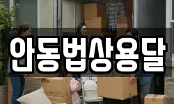 안동법상용달