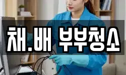채.배 부부청소