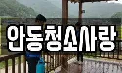 안동청소사랑