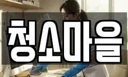 경북 안동시 법상동 청소,입주청소,사무실청소,에어컨청소