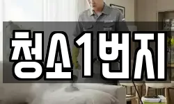 청소1번지
