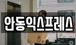 안동익스프레스
