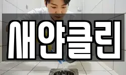 새얀클린