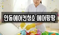 안동에어컨청소 에어팡팡