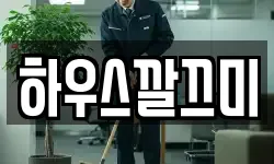 하우스깔끄미