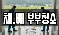 채.배 부부청소