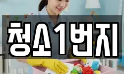 청소1번지