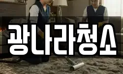 광나라청소