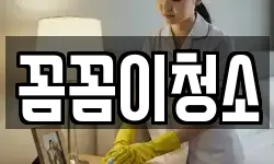 꼼꼼이청소
