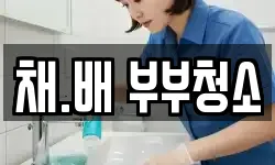 채.배 부부청소