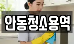 안동청소용역