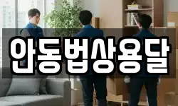 안동법상용달