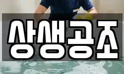 상생공조