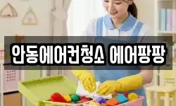 안동에어컨청소 에어팡팡