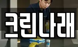 크린나래