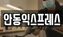 안동익스프레스