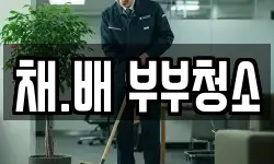 채.배 부부청소