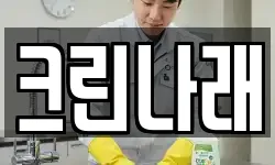 크린나래